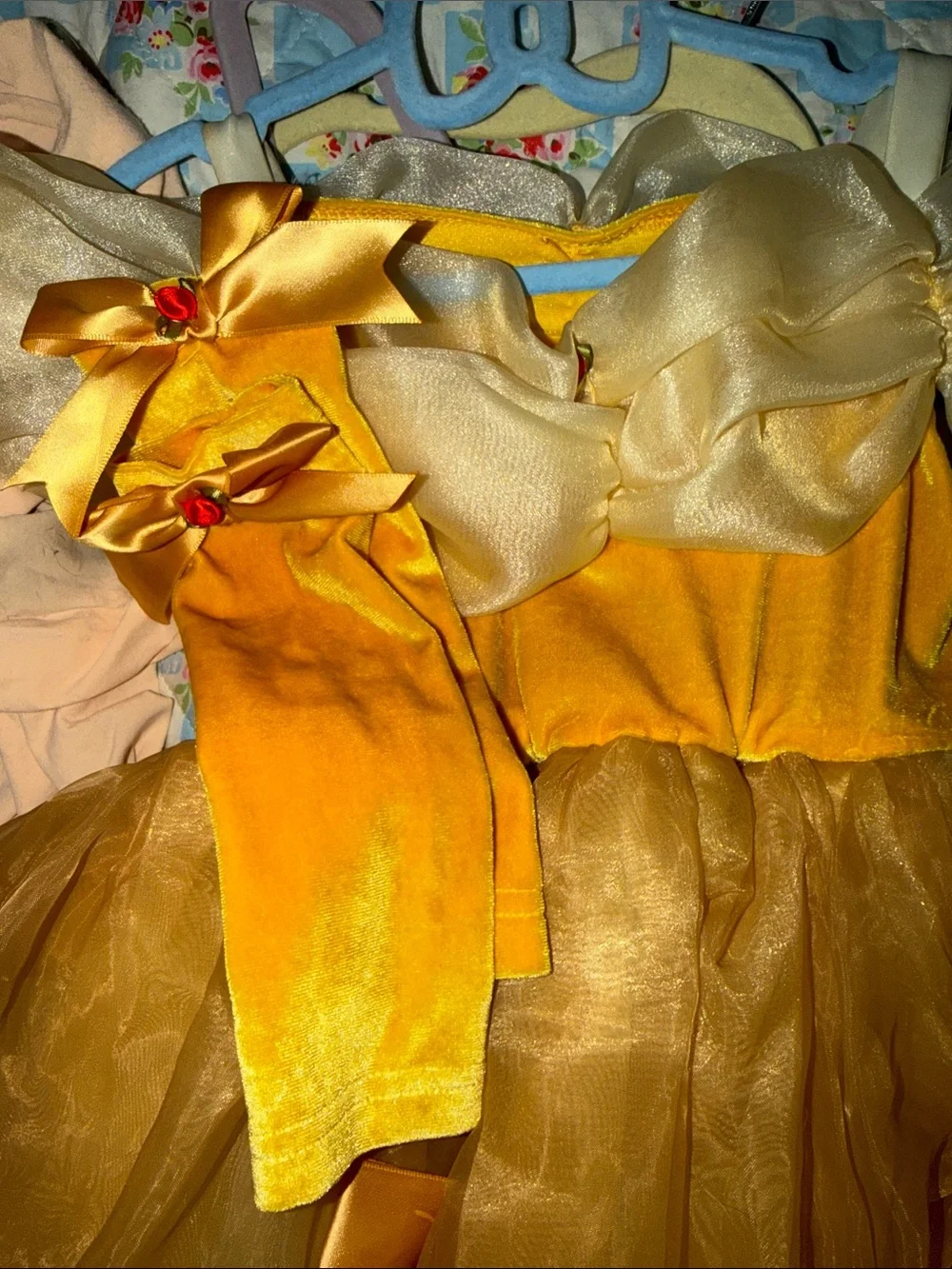 Princess Belle Tulle Dress-Up Costume for Kids customized with roses! Size 2-3